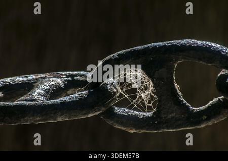 Thick iron black chain links fence closeup with spider web on dark background Stock Photo