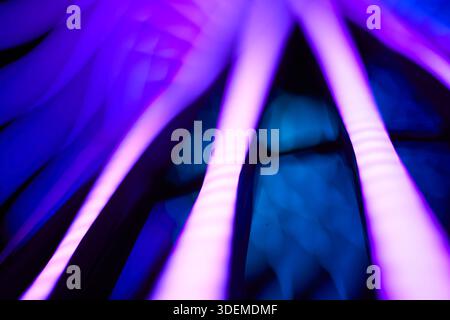 This vibrant neon lighting glow abstract background Stock Photo