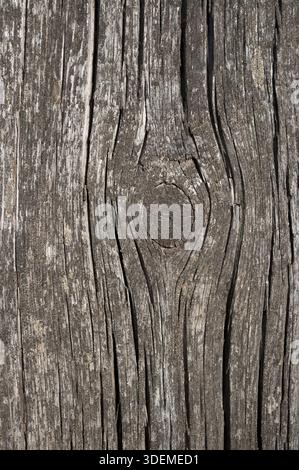 Texture of the old grey boards with knots and cracks Stock Photo