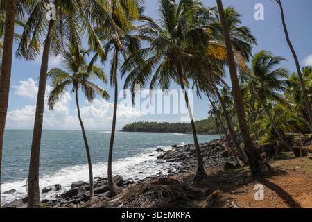 The coast of St Joseph's island stretches along the horizon seen from Royal Island, the largest of the Salvation Islands, French Guiana, France. Stock Photo