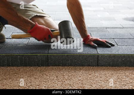 Hands of a worker laying paving, big concrete paver blocks, in motion with hammer in hand. Laying concrete paving slabs. Builder laying paving tiles i Stock Photo