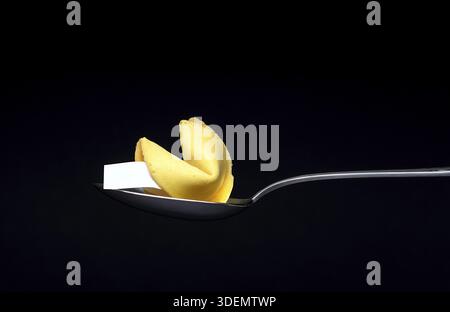 A Fortune cookie with blank slip in silver metal spoon isolated on dark background. with copy Space for Text on black and Wrapper Stock Photo