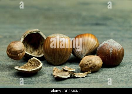 Hazelnut food nuts Background, falling on wooden table Stock Photo