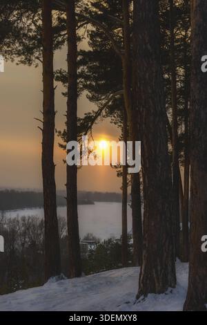 Winter evening in the forest with long shadows from the trees, sunset Stock Photo