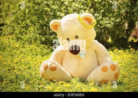 Big teddy bear sitting on dandelions meadow Stock Photo