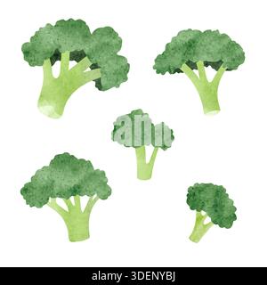 Green broccoli set. Vector watercolor illustration Stock Vector