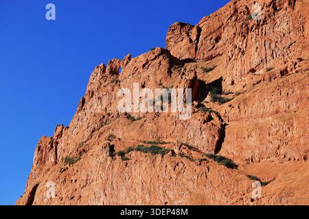Close view of eroded red sandstone cliff with holes, cracks and small shrubs against deep blue sky in Garden of the Gods Park, Colorado Springs, USA. Stock Photo