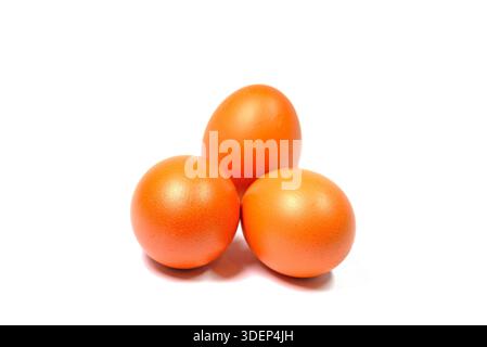 Brown chicken eggs on a white background Stock Photo