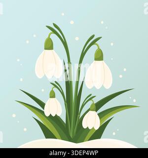 Spring snowdrops flowers blooming in snow flat vector illustration. Stock Vector