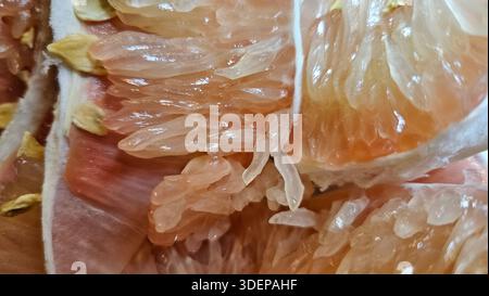 Extreme close-up macro of fresh pomelo citrus flesh showing large translucent segments and juicy texture.healthy nutrition, tropical fruit, fresh food Stock Photo