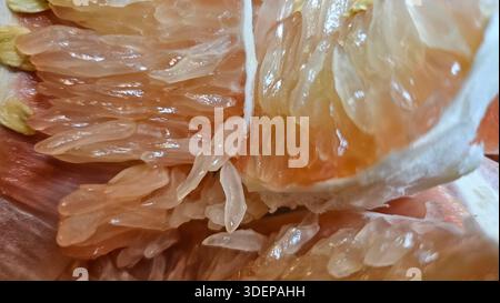 Extreme close-up macro of fresh pomelo citrus flesh showing large translucent segments and juicy texture.healthy nutrition, tropical fruit, fresh food Stock Photo