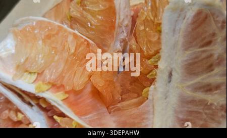 Extreme close-up macro of fresh pomelo citrus flesh showing large translucent segments and juicy texture.healthy nutrition, tropical fruit, fresh food Stock Photo