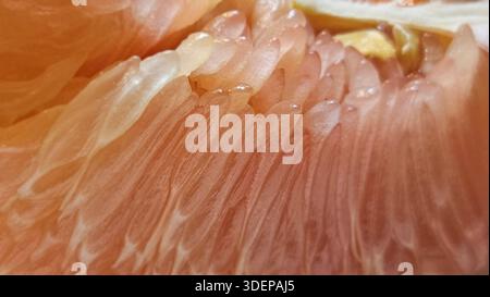Extreme close-up macro of fresh pomelo citrus flesh showing large translucent segments and juicy texture.healthy nutrition, tropical fruit, fresh food Stock Photo