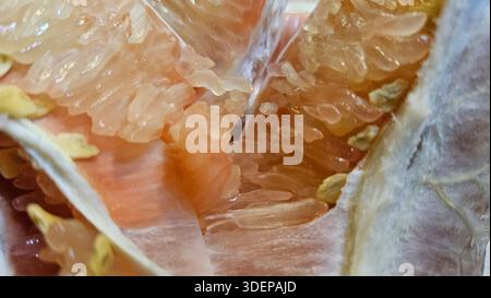 Extreme close-up macro of fresh pomelo citrus flesh showing large translucent segments and juicy texture.healthy nutrition, tropical fruit, fresh food Stock Photo