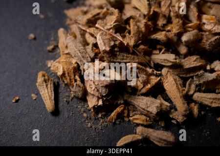 Organic Dehydrated Lavandula Flowers On Professional Dark Background For Wellness Stock Photo
