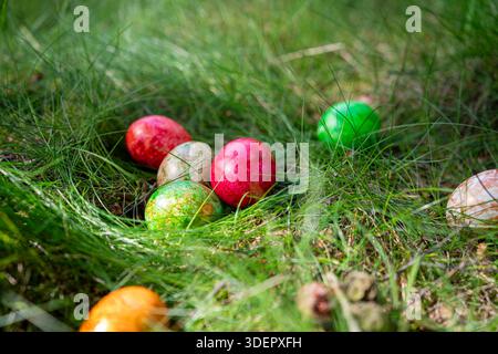 A cluster of vibrantly dyed Easter eggs rests in fresh green grass, capturing a festive moment in nature’s setting. Stock Photo