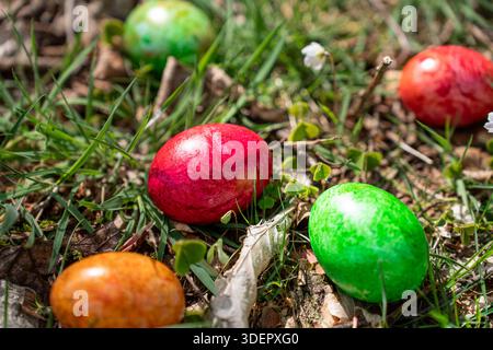 Colourful dyed Easter eggs scattered in the fresh spring grass symbolise tradition, nature, and festive joy. Stock Photo