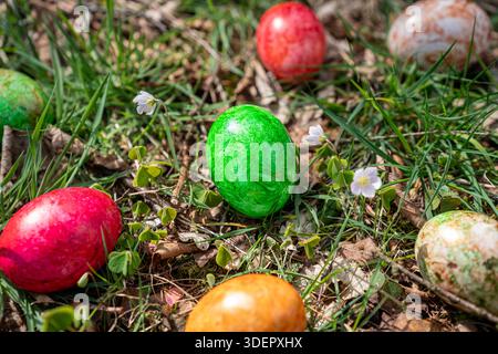 Colourful Easter eggs scattered among wildflowers and grass in a sunny forest, celebrating spring traditions. Stock Photo