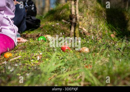 Children searching for hidden Easter eggs in a forest setting during springtime. A joyful outdoor seasonal celebration. Stock Photo