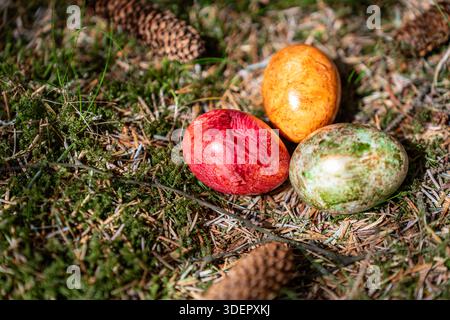 Three dyed Easter eggs in red, orange, and green rest on a mossy forest ground, surrounded by pine needles and cones. Stock Photo