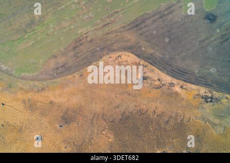 Aerial top down view capturing the abstract artistic curves of a wetland landscape. The mixture of green moss, grey mud, and orange dry grass creates a painting-like effect, suitable for geological and environmental design concepts. Stock Photo