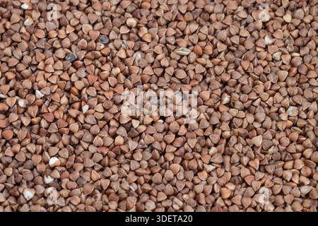overhead buckwheat groats pattern uniform spread, tight macro composition emphasizing shape and color contrast, highresolution texture study for packa Stock Photo