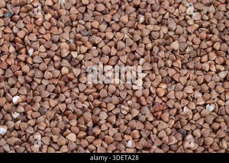 Closeup of buckwheat groats texture, uniform earthy pattern and warm brown tones for packaging and web backgrounds, highdetail macro surface ideal Stock Photo