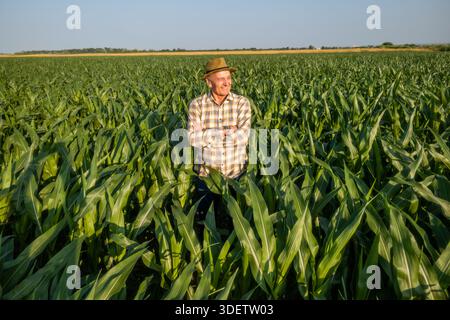 Satisfied senior farmer is standing in his growing corn field. He is looking away and smiling. Stock Photo
