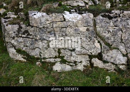 A large rock wall with moss growing on it. The moss is green and the rock is gray Stock Photo