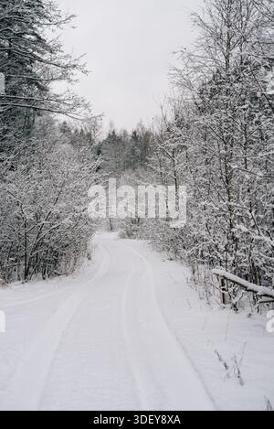 Incredibly magical snow-covered pine trees blanketed in thick white snow Stock Photo