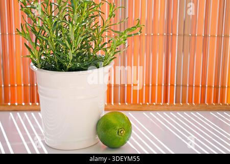 A young rosemary plant in a pot and lime are the ingredients for a cocktail on a sunny terrace. Stock Photo