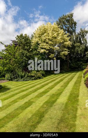 Neatly mown lawn with stripes, Wales, UK Stock Photo