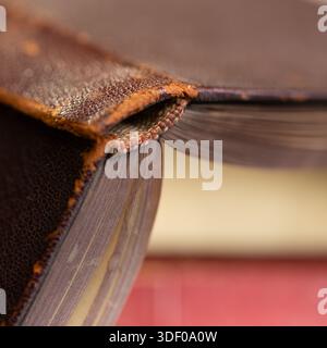 A close-up shot of the spine and pages of an old, leather-bound book. Stock Photo