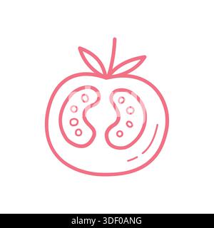 Hand Drawn Tomato Half Outline Icon for Healthy Food and Cooking Design Stock Vector
