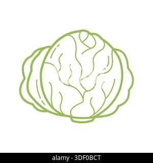 Hand Drawn Cabbage Outline Icon for Healthy Food and Cooking Design Stock Vector