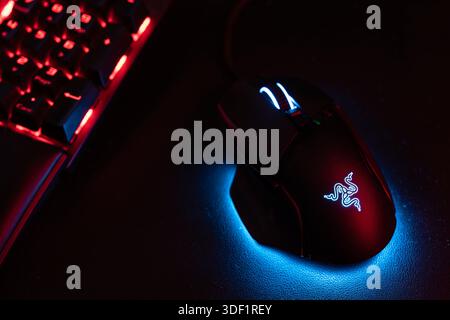 Rome, italy 1 january 2026: dark close-up showing a razer computer gaming mouse and mechanical keyboard glowing with vibrant red and blue rgb led ligh Stock Photo