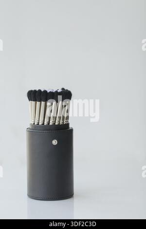 Collection brushes for make-up in a case Stock Photo