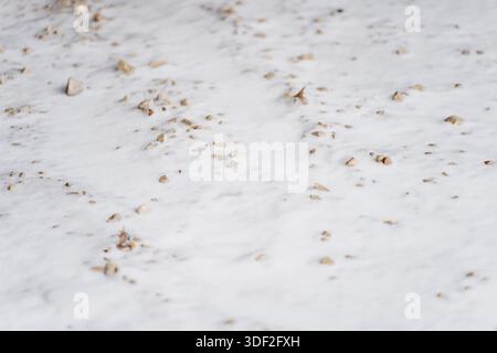 Snow covered ground surface with scattered small stones and gravel creating natural winter texture suitable for background use and minimal outdoor env Stock Photo