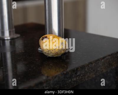 Ripe mango on a granite countertop near a metal stand, presented as tropical fruit in a home kitchen scene. Stock Photo