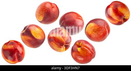Falling nectarines isolated on white background with clipping path, full depth of field Stock Photo