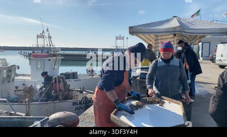 Numana, Italy - April 22nd 2023 Two fishermen in warm clothing sort seafood on a dock at a busy harbor during the daytime. A boat is nearby, and other Stock Photo