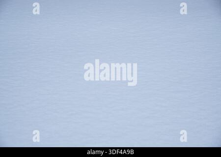 White snow background. Snow texture. Winter background Stock Photo