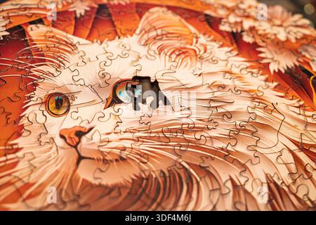 Macro shot of an incomplete handcrafted wooden puzzle showing the face of a white Turkish Angora cat with one eye piece missing. Stock Photo