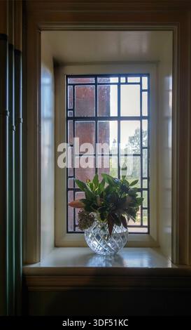 Plants in bowl of water on window sill of antique house Stock Photo