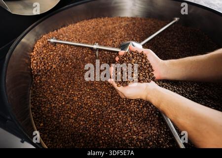 Unrecognizable worker holding in his hands freshly roasted, cooled beans Stock Photo