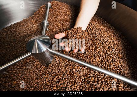 Hand of an unrecognizable worker showing freshly roasted coffee beans Stock Photo