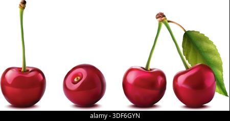 realistic vector icon illustration. Fresh red cherries with stem and leaf in one, two or three berries. Isolated on white background. Stock Vector