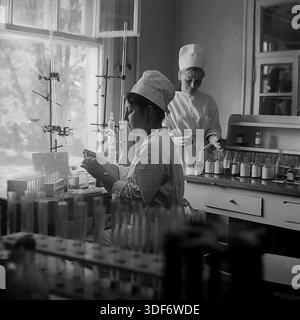 Slaviansk, Ukrainian SSR, 1970s. A historical medium shot depicts two female laboratory technicians working in a sunlit hospital lab. The specialist sitting at the desk examines a biological sample on a glass plate against the light. Her colleague stands behind, checking a test tube. The workspace is filled with glass reagents, racks, and a titration burette. This authentic monochrome archival photograph captures the meticulous scientific process and high diagnostic standards of Soviet healthcare in the peaceful Donbass region. Stock Photo