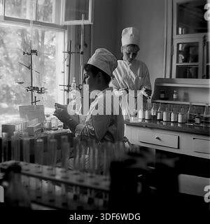 Slaviansk, Ukrainian SSR, 1970s. A historical medium shot depicts two female laboratory technicians working in a sunlit hospital lab. The specialist sitting at the desk examines a biological sample on a glass plate against the light. Her colleague stands behind, checking a test tube. The workspace is filled with glass reagents, racks, and a titration burette. This authentic monochrome archival photograph captures the meticulous scientific process and high diagnostic standards of Soviet healthcare in the peaceful Donbass region. Stock Photo