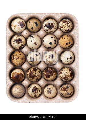 Top view of raw quail eggs in a container, isolated on a white background Stock Photo